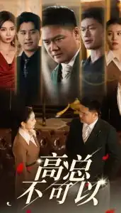 高总不可以