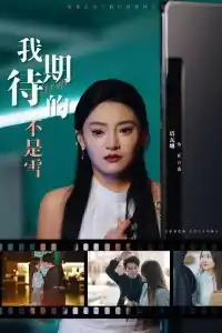 我期待的不是雪