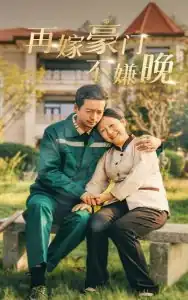 再嫁豪门不嫌晚