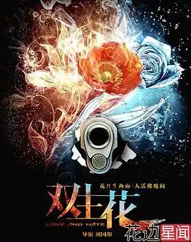 双生花2014