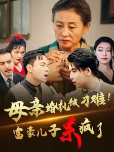 母亲婚礼被刁难首富儿子杀疯了
