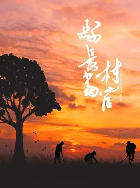 县长当村官