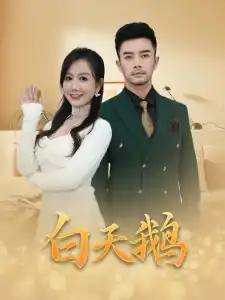 白天鹅