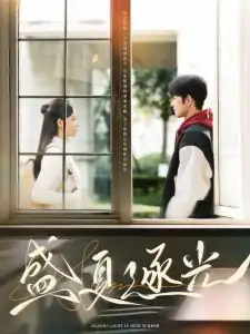 盛夏逐光