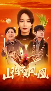 山鸡不是凤凰
