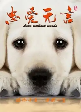 忠爱无言