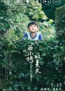 西小河的夏天