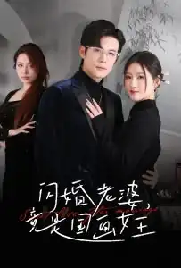 闪婚老婆竟是国画女王