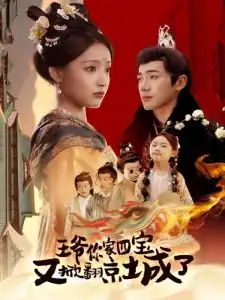 王爷你家四宝又掀翻京城了