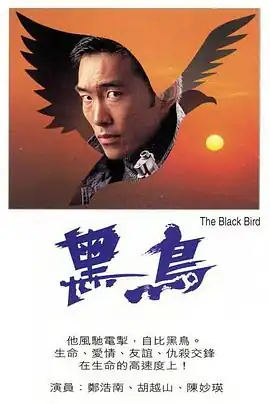 黑鸟粤语