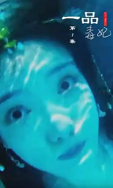 一品毒妃