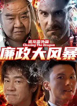 追龙番外篇之廉政大风暴