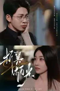 折翼栖光