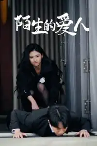 陌生的爱人