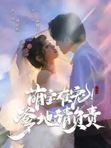 萌宝难宠！爹地请负责